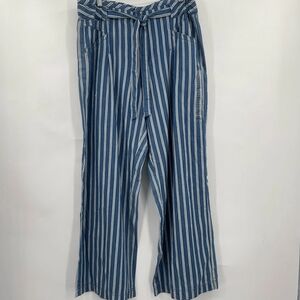 Striped American Eagle Women's Pants 12